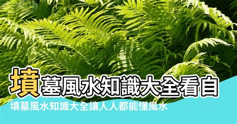 望墳場風水|【望墳場風水】望墳場風水吉凶，李大師親自解答！ – 何子芸師傅